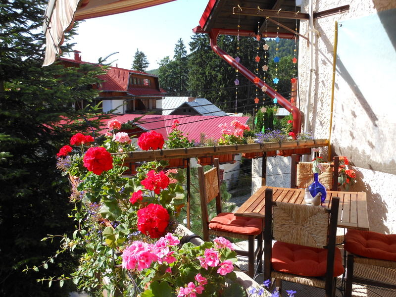 Bistro-Pension La Teleferic Синая Екстериор снимка